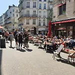 Le nid des carmes