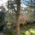 Appartement Cosy Jardin Des Plantes Avec Parking