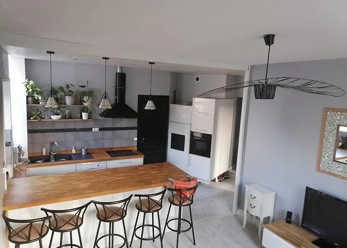 Appartement central face au parc