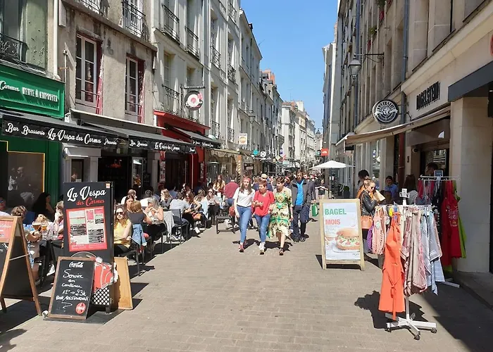 Le nid des carmes