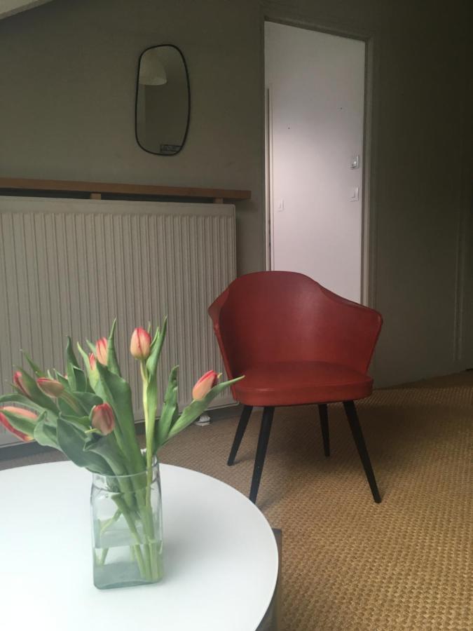 Cosy Et Lumineux Appartement Nantes