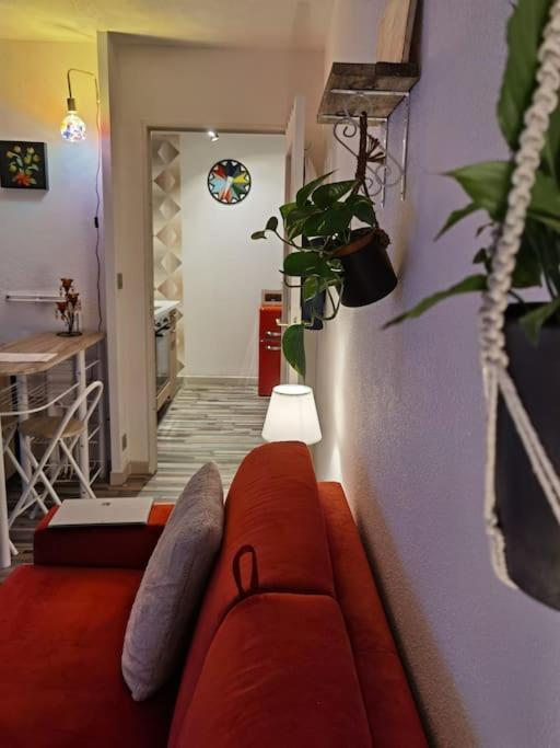 Cosy T1bis Proche Centreville, Petit Port, Audencia * Nantes