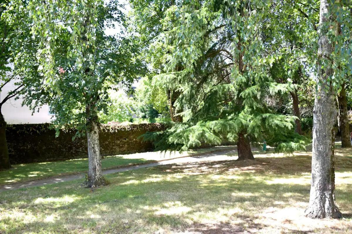 Rare : Calme Et Detente A ! Nantes