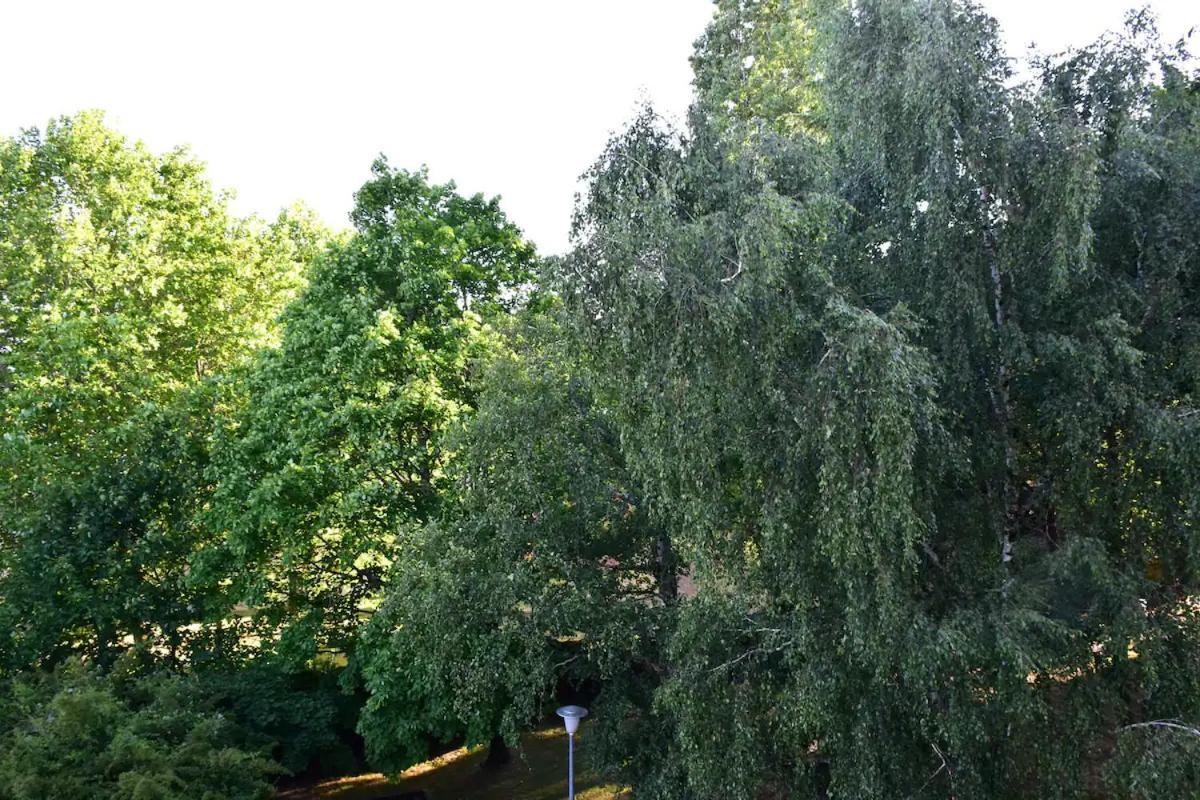 Appartement Rare : Calme Et Detente A !