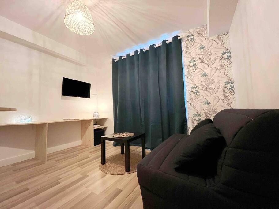 Le Dandy'nantes Appartement Nantes
