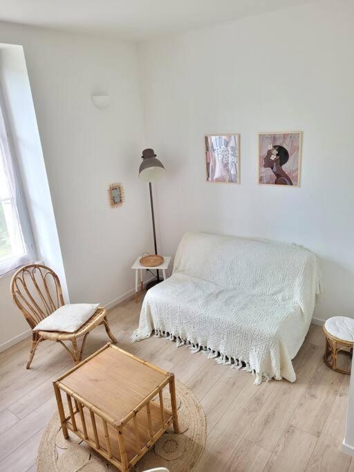Cocoon Urbain Nantais Apartment *