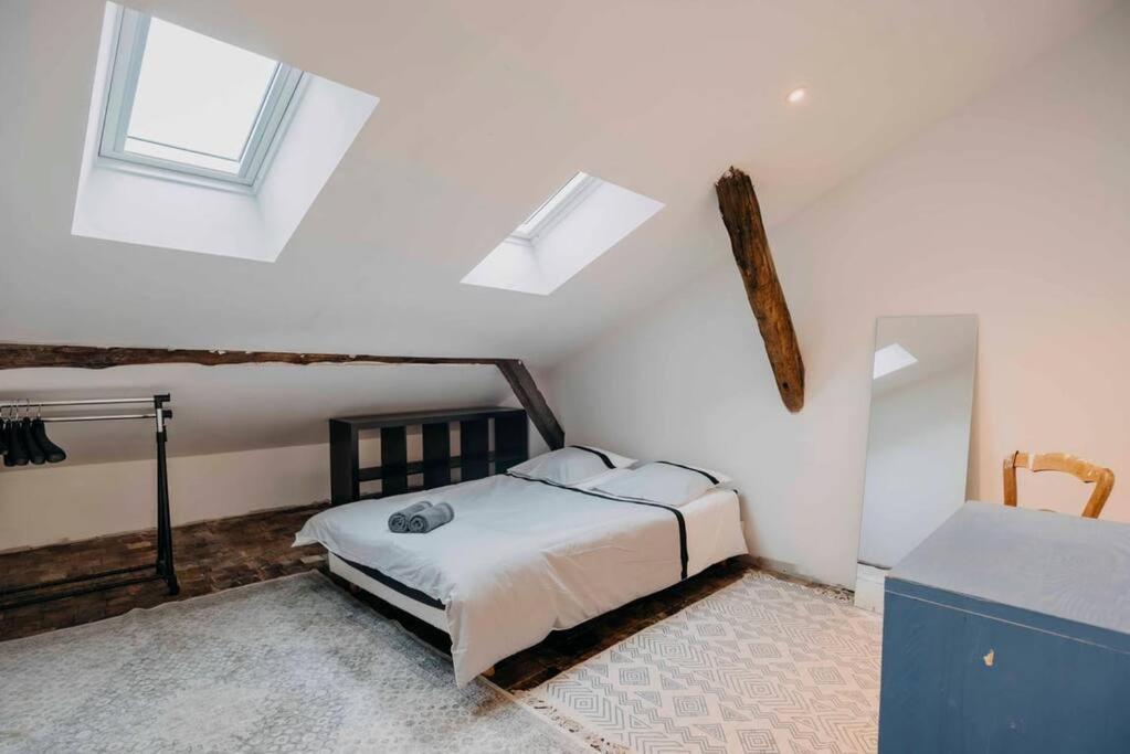 Le Duche - Superbe Duplex Historique Nantes