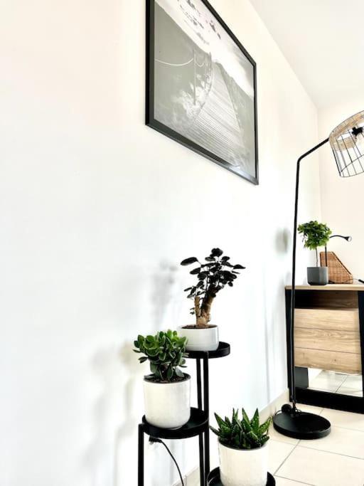 T2 Republique Parking Inclus Appartement