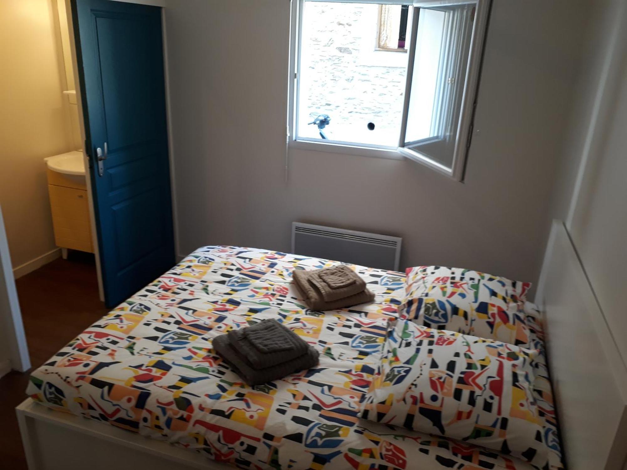 Appartement Cite Des Congres -gare-chu 4 Pers Nantes