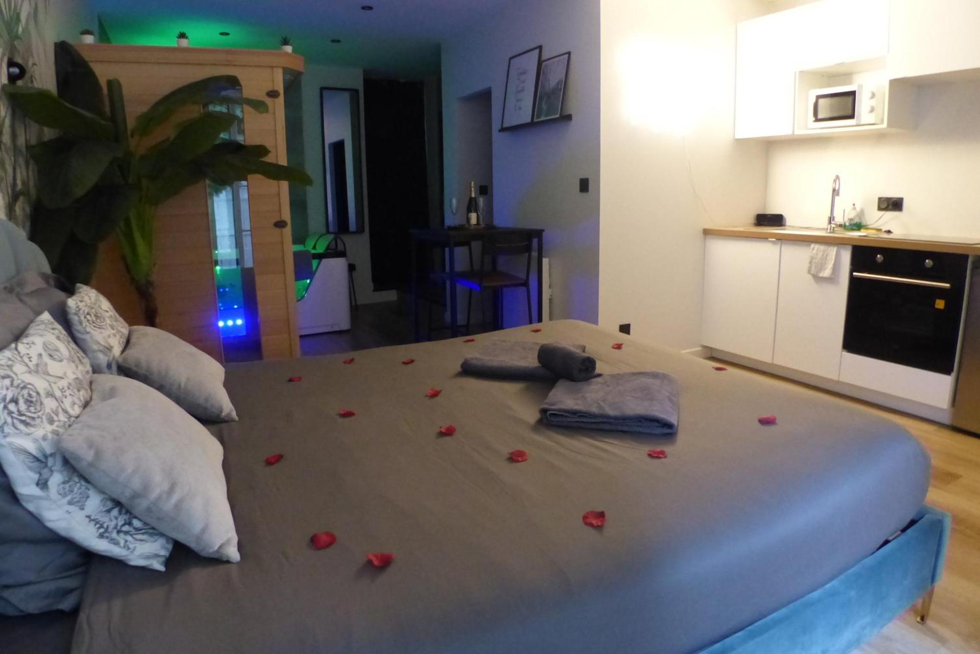 Balneotherapie Et Sauna Hyper Centre Appartement Nantes
