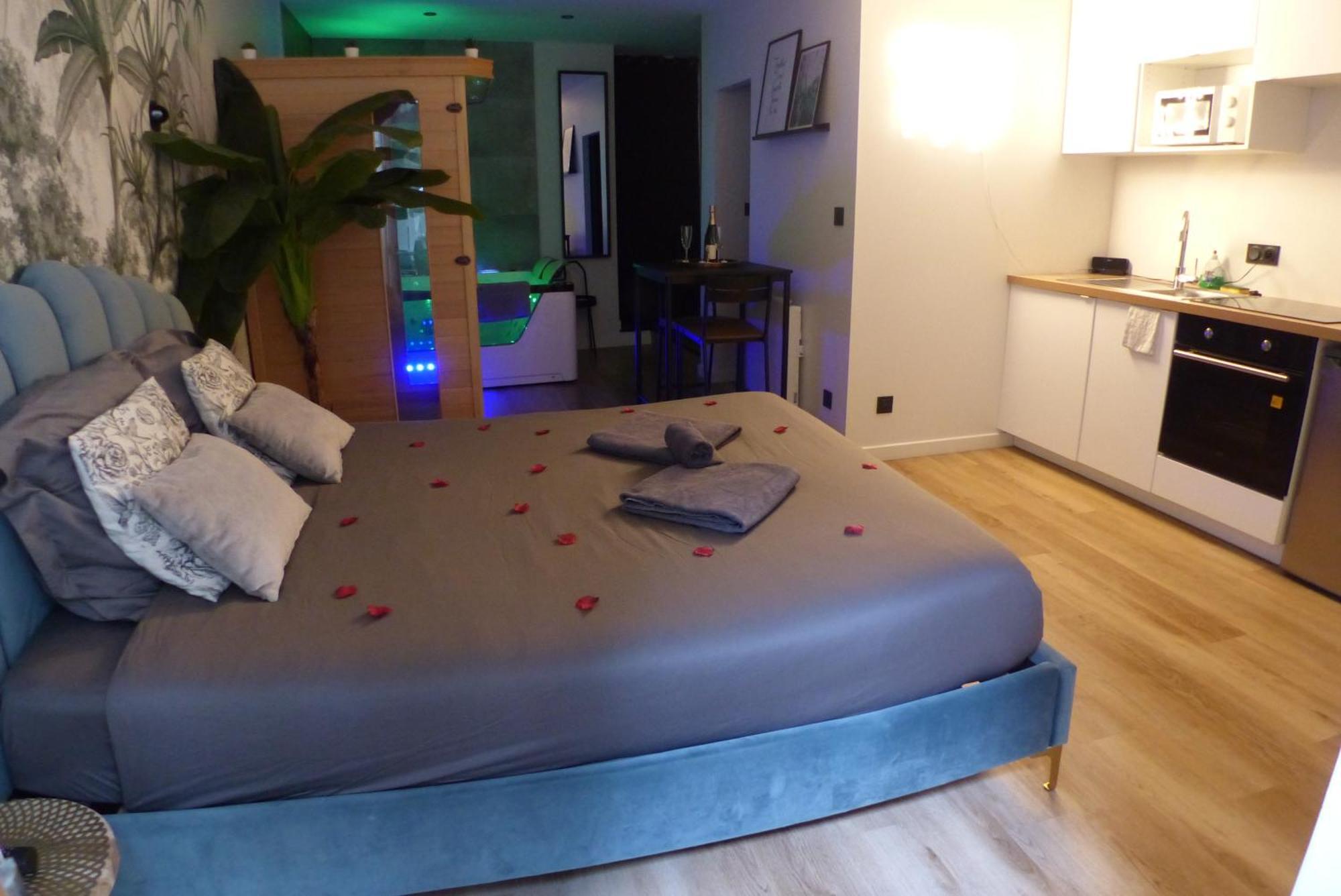 Appartement Balneotherapie Et Sauna Hyper Centre Nantes