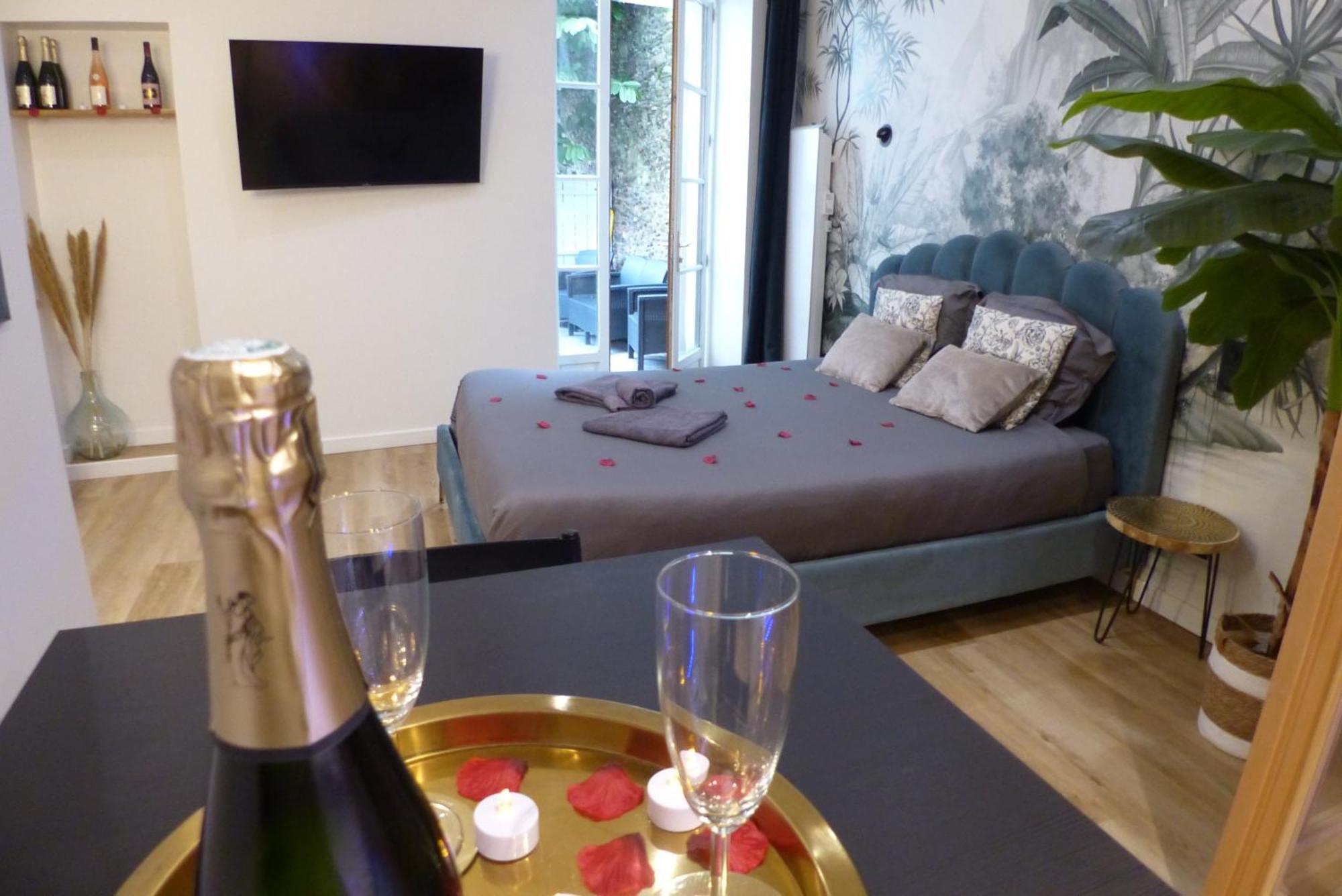 Appartement Balneotherapie Et Sauna Hyper Centre Nantes