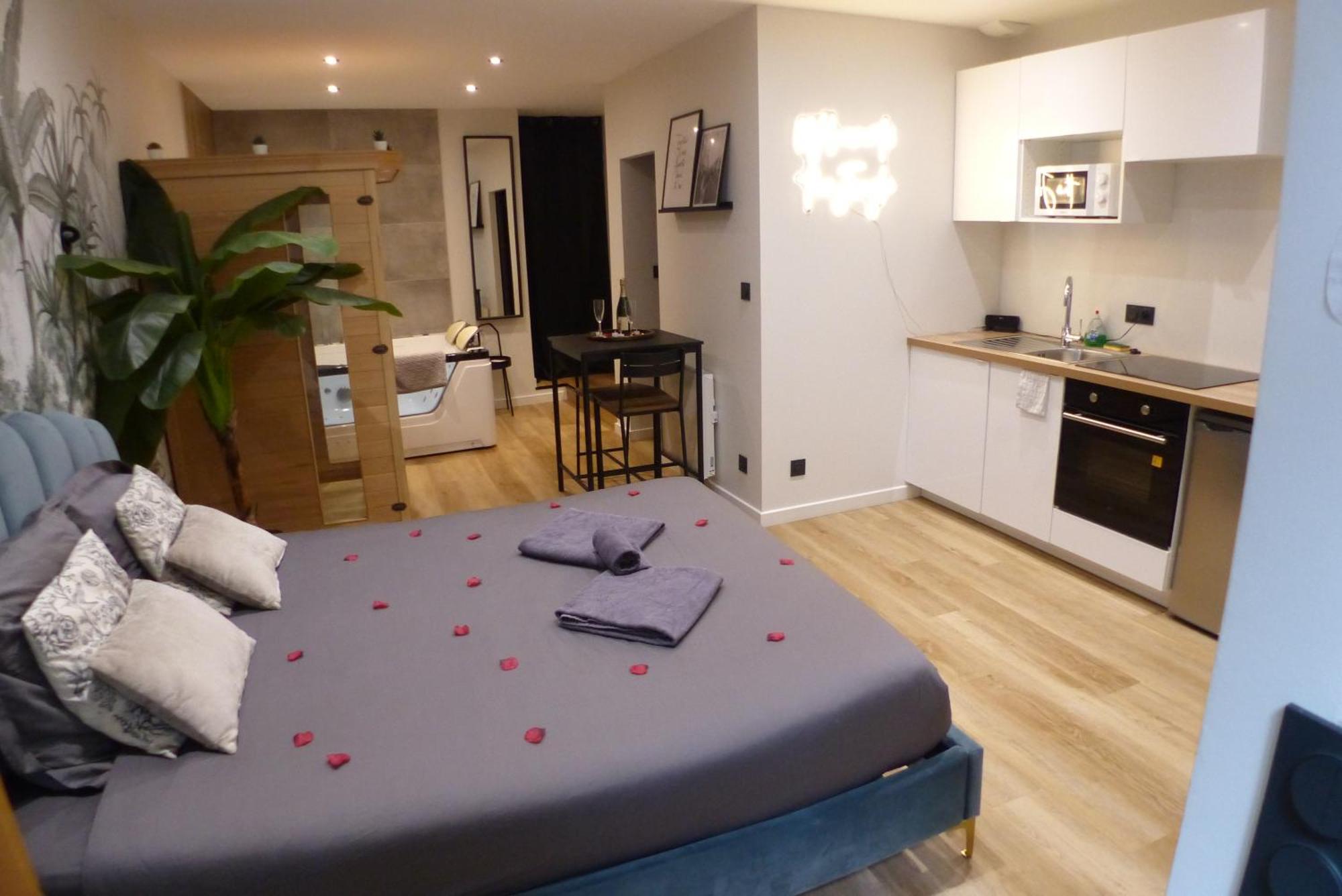 Balneotherapie Et Sauna Hyper Centre Appartement