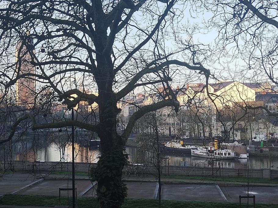 Appartement T2 Lumineux Meuble Sur L'eau Sans Vis A Vis *
