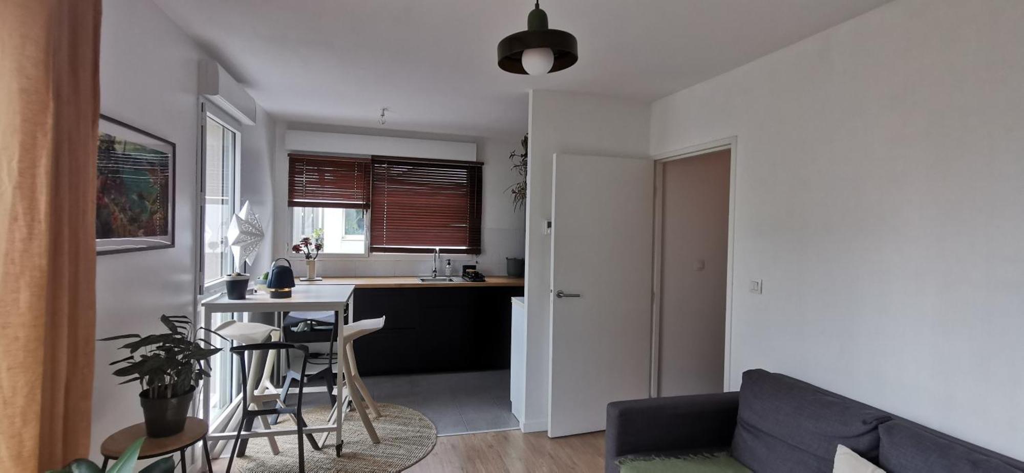T2 L'ile De Avec Parking Prive Apartment *