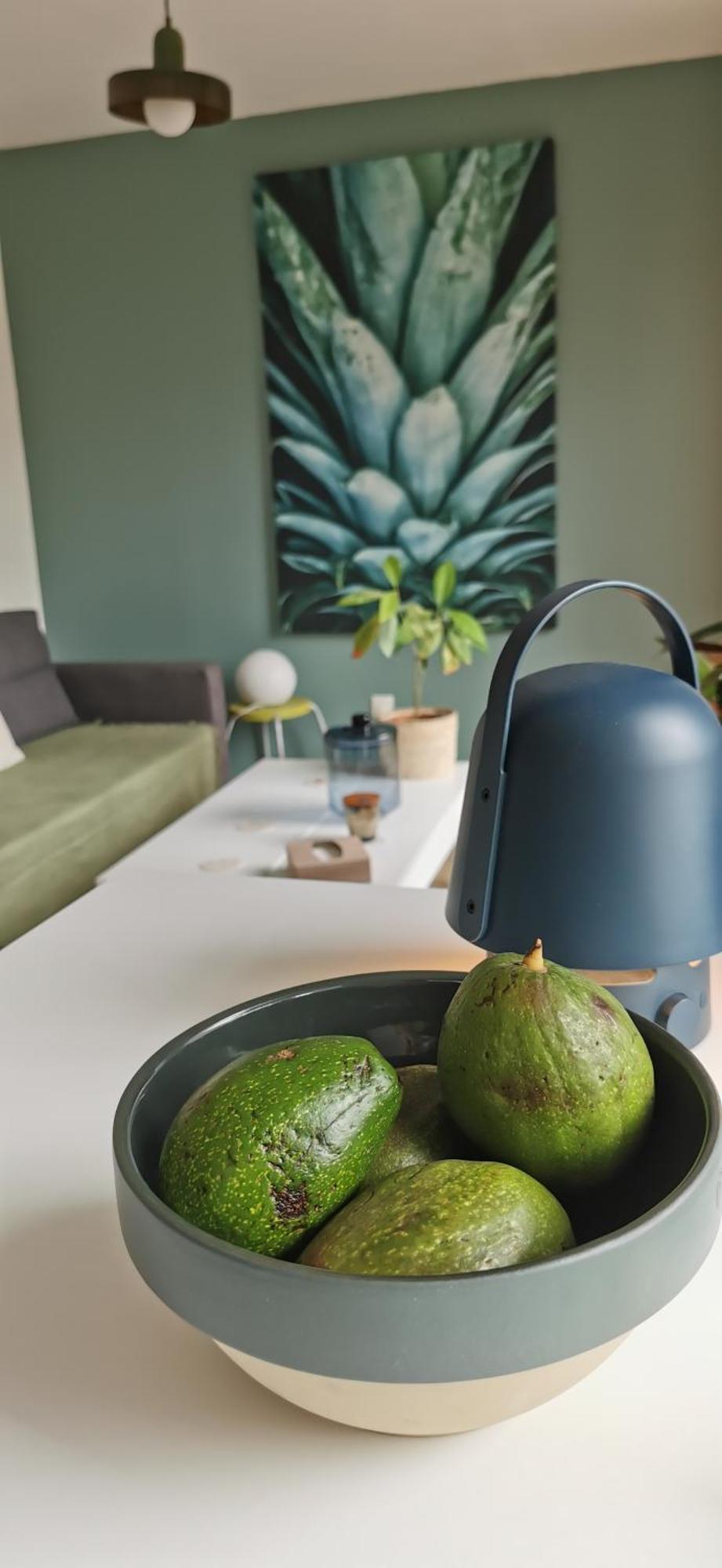 Apartment T2 L'ile De Avec Parking Prive