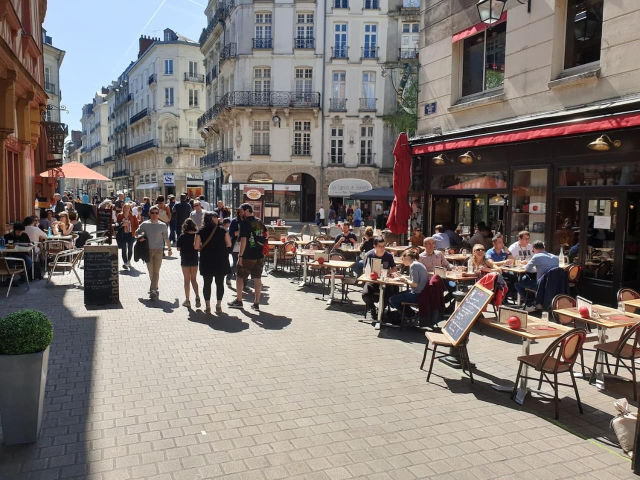 Le Nid Des Carmes * Nantes