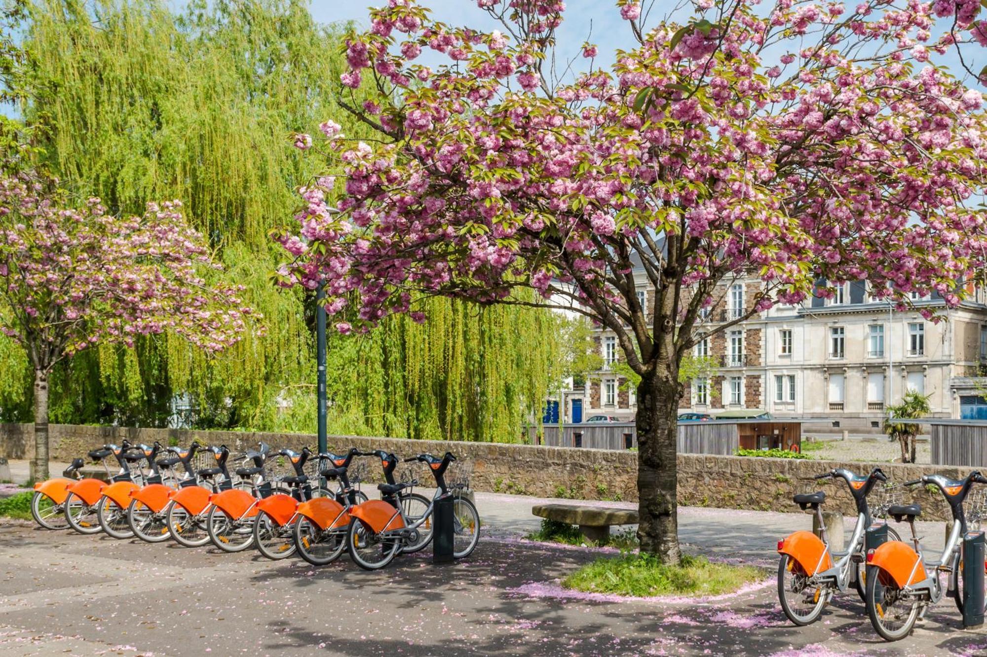 Pour 4 - - 950m De La Loire Appartement *
