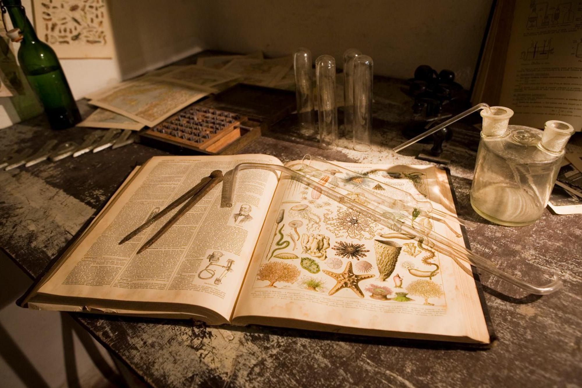 Apartment Surprenantes- Jules Verne *