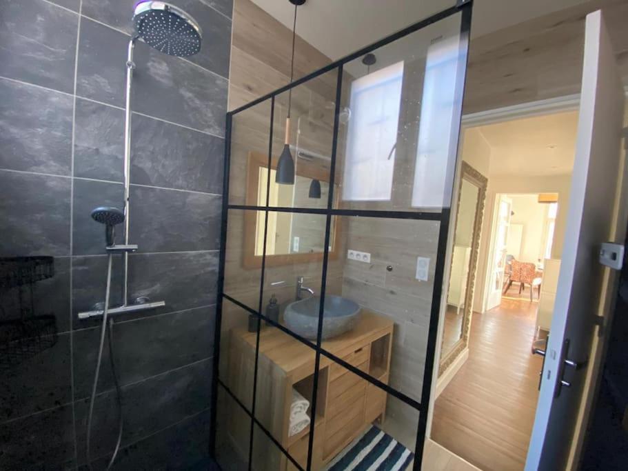 Apartment Lafosse Avec Vue Loire En Centre Nantes