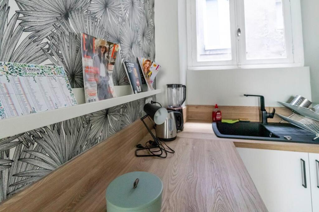 Saint Nicolas Bleu Hypercentre Appartement