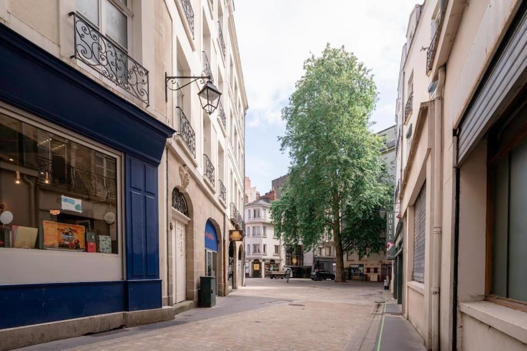 Saint Nicolas Bleu Hypercentre