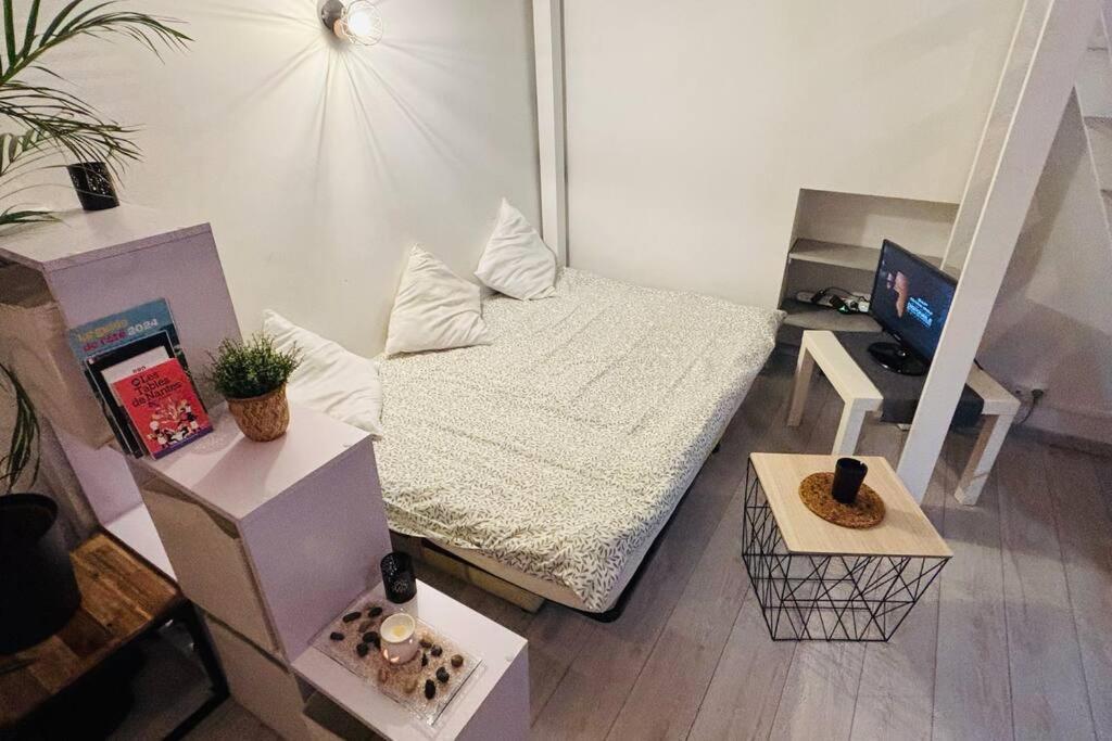 Studio Urbain Hyper Centre * Nantes