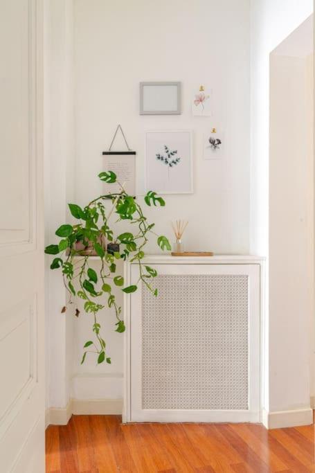 Cosy Hypercentre T3 Graslin *