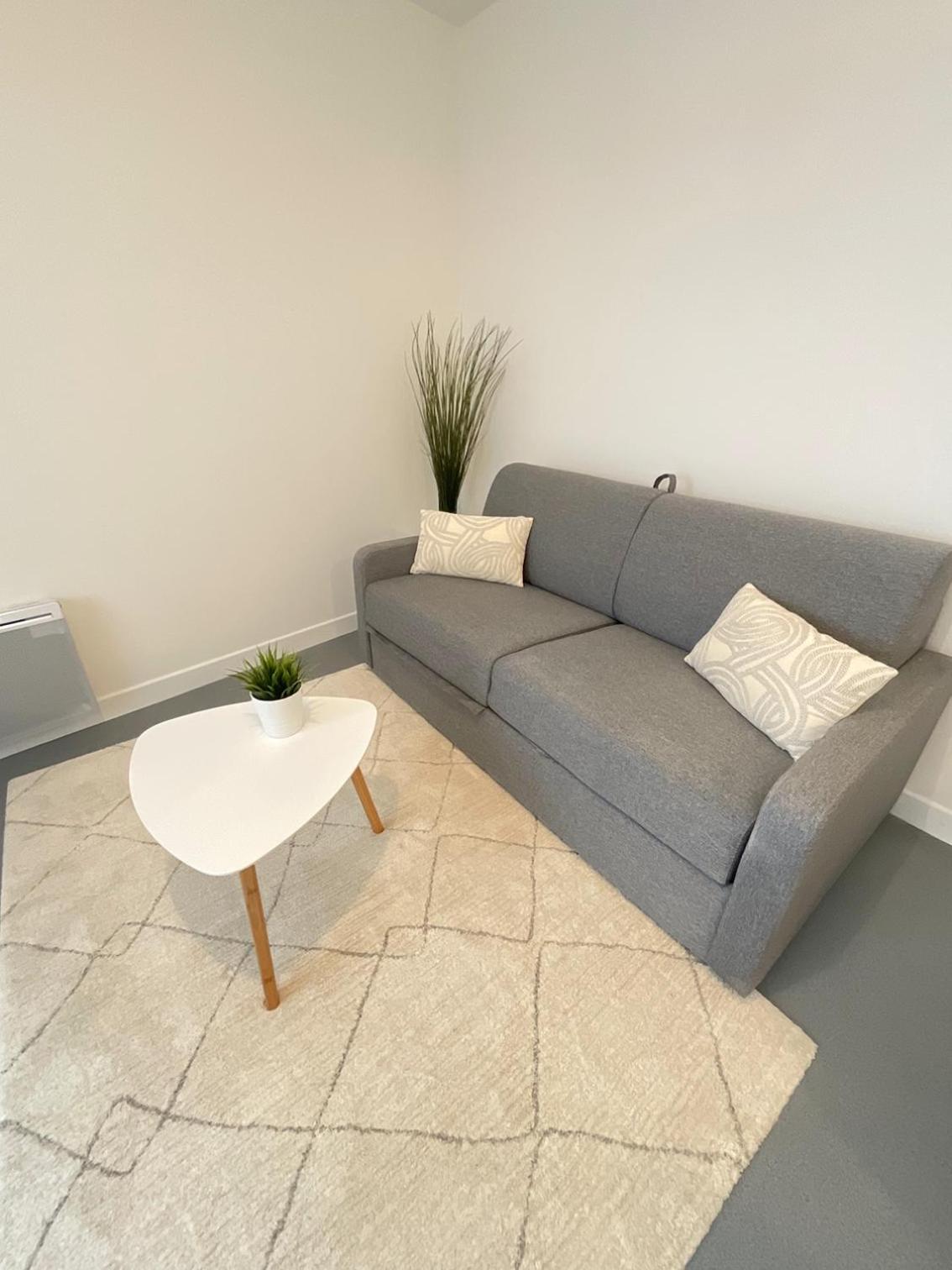 Petit Mayence - Hyper-centre Au Calme Nantes