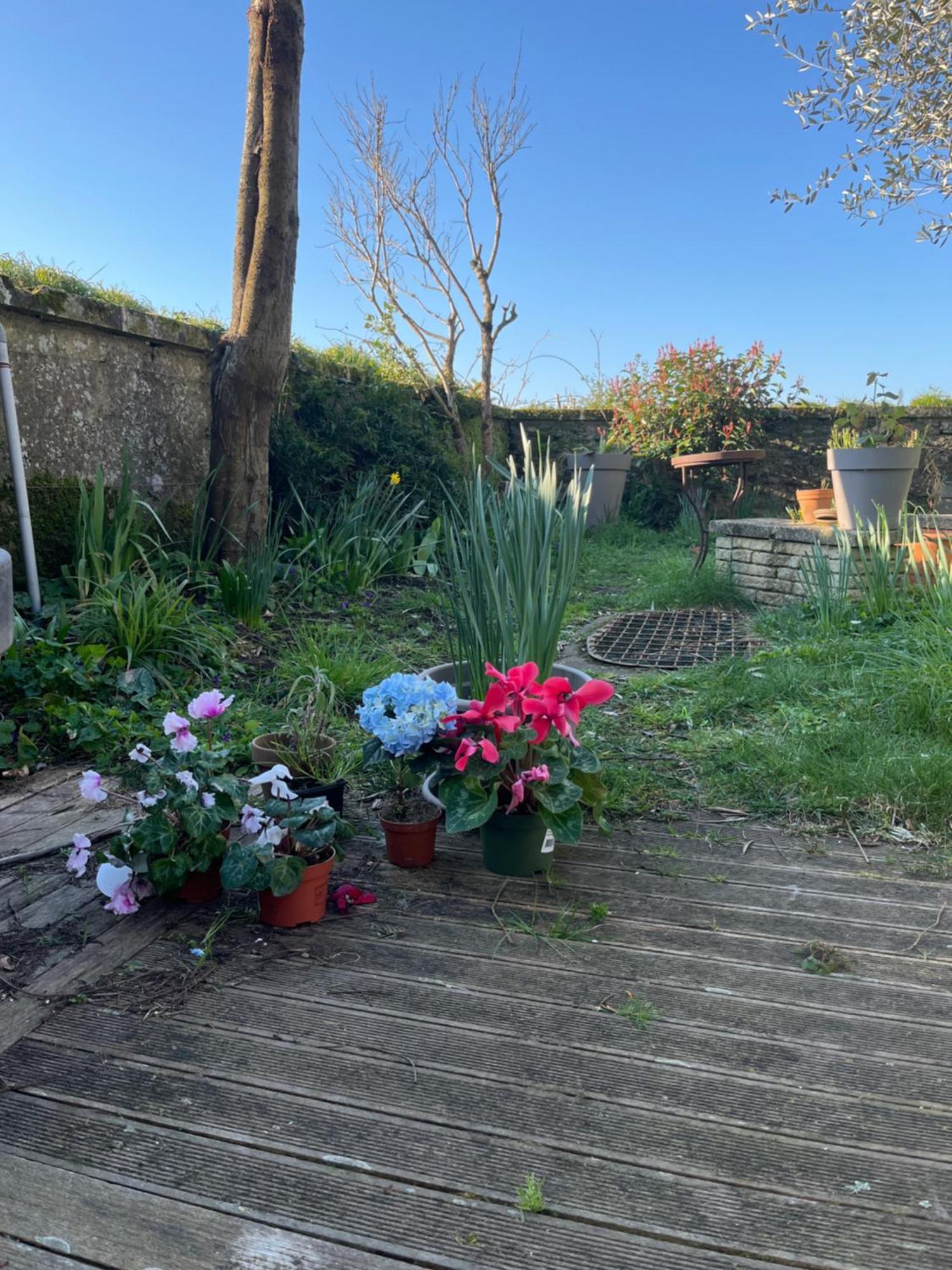Séjour chez l'habitant La Maison Sur La Falaise