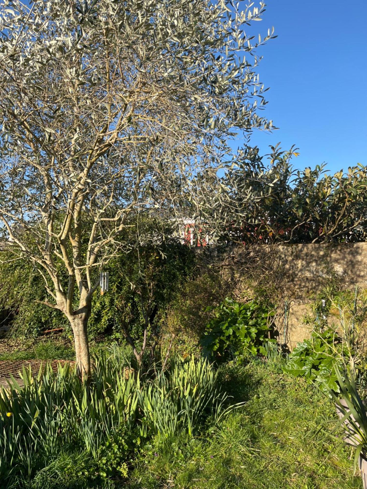 La Maison Sur La Falaise * Nantes