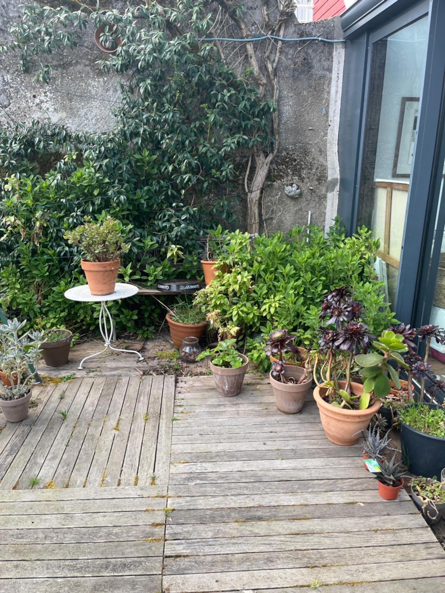La Maison Sur La Falaise Séjour chez l'habitant