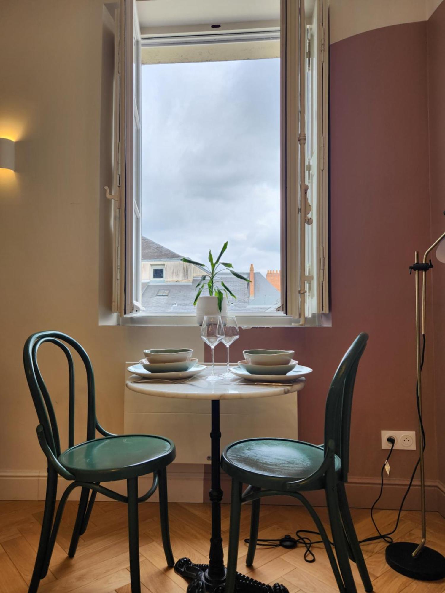 With Rooftop View Of The Graslin Theater Appartement