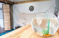 La Pecherie Surprenantes Appartement *
