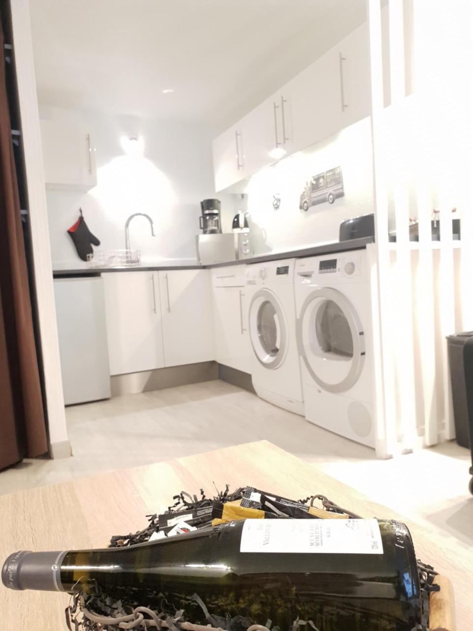 Jardin En Cœur De Appartement