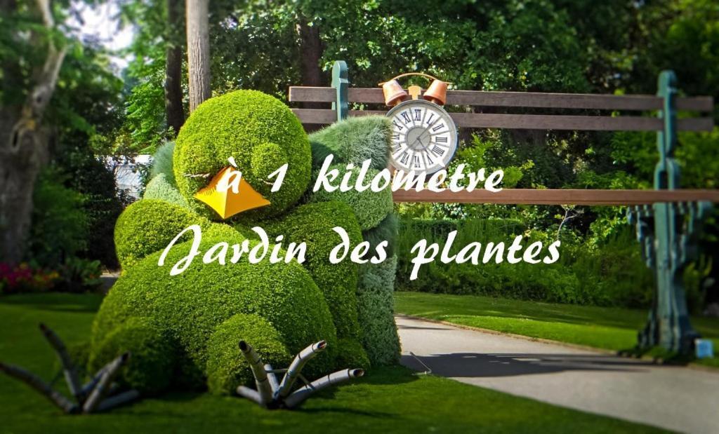 Le Nid Des Carmes * Nantes