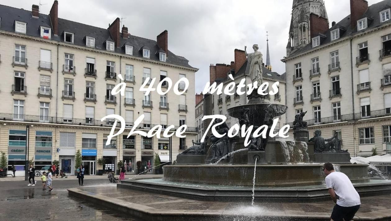Le Nid Des Carmes Appartement
