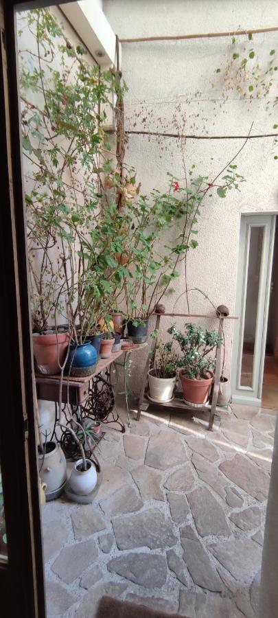 Oasis De Verdure En Centre Appartement