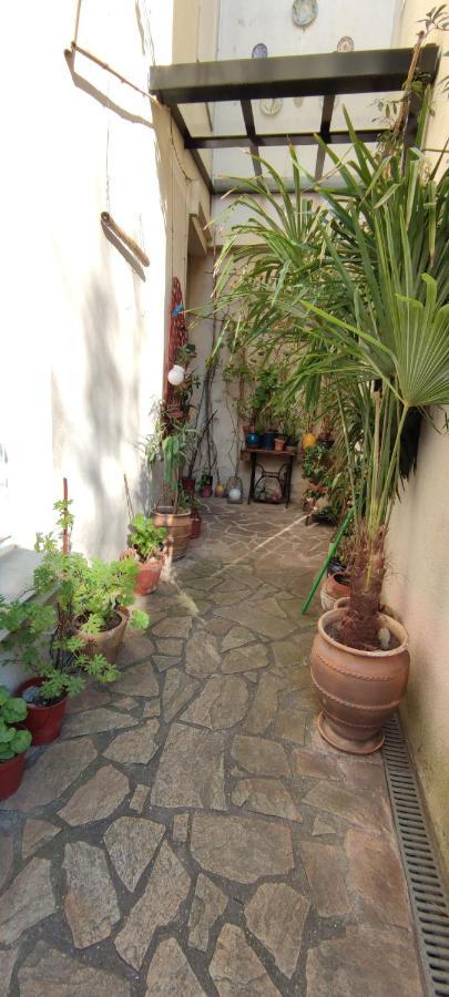 Oasis De Verdure En Centre Appartement Nantes