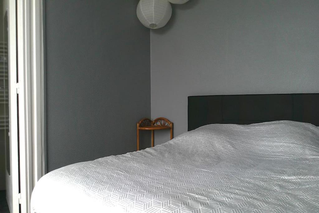 Appartement Ernest Renaud - Tram - Loire Nantes